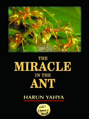 cover image of The Miracle in the Ant